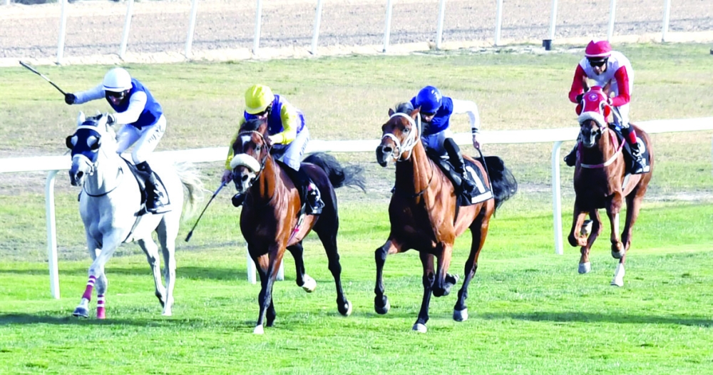 بالصور..عيسى بن سلمان يتوج الفائز بكؤوس ولي العهد بعد سباقات مثيرة