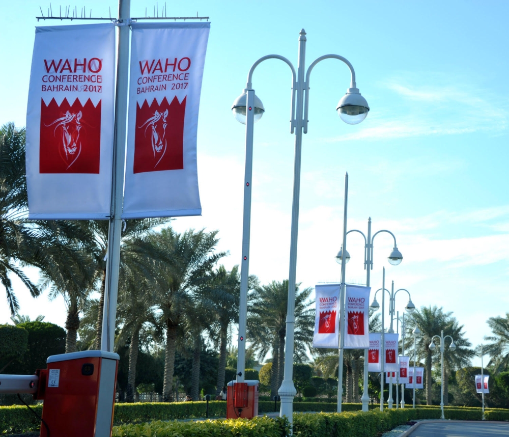 فيصل بن راشد: نسعى لتشريف البحرين من خلال الـ "WAHO"