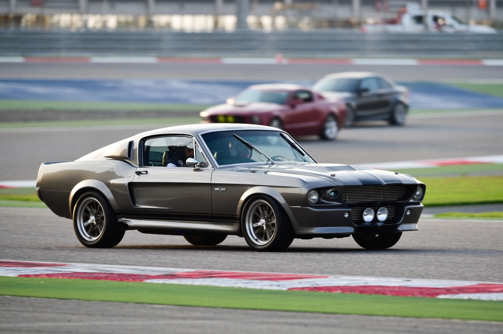 بالصور : اليوم الرياضي الوطني