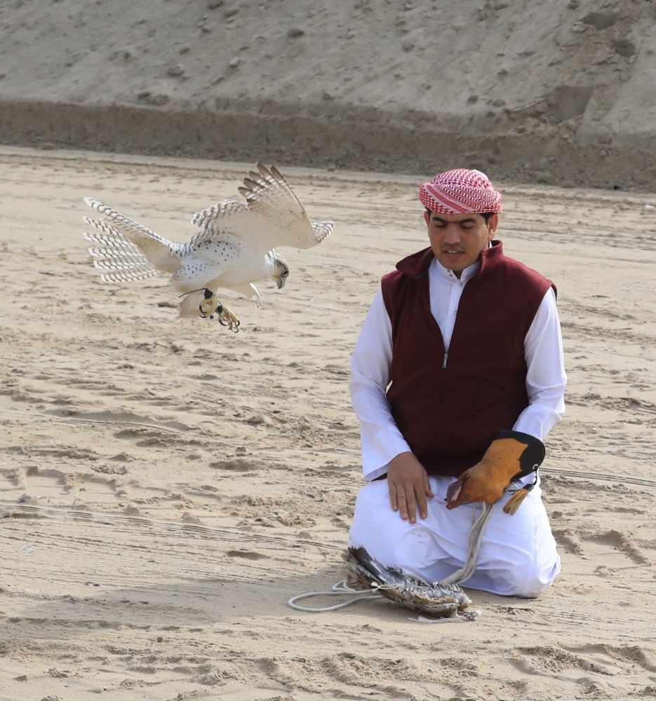 بالصور.. انطلاق منافسات الإسبوع الأخيرة..وناصر بن حمد يشيد بـ"الصقارة"