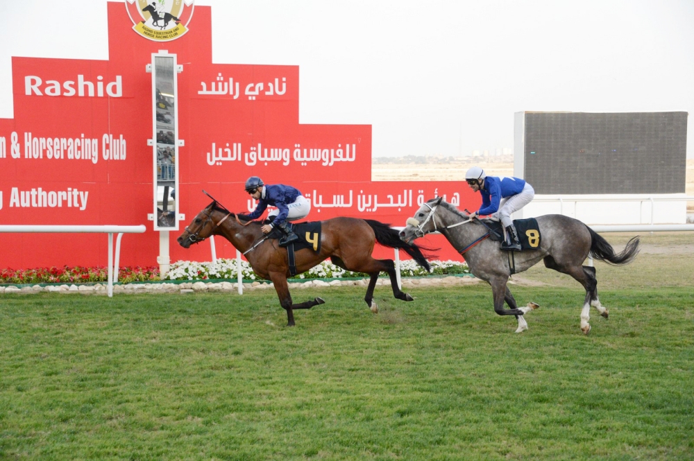 بالصور.. الجياد المرشحة تحقق الانتصارات