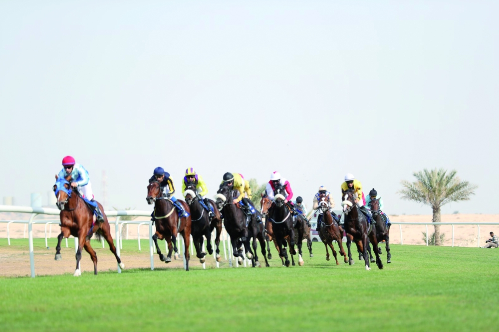 بالصور.. الجياد المرشحة تحقق الانتصارات