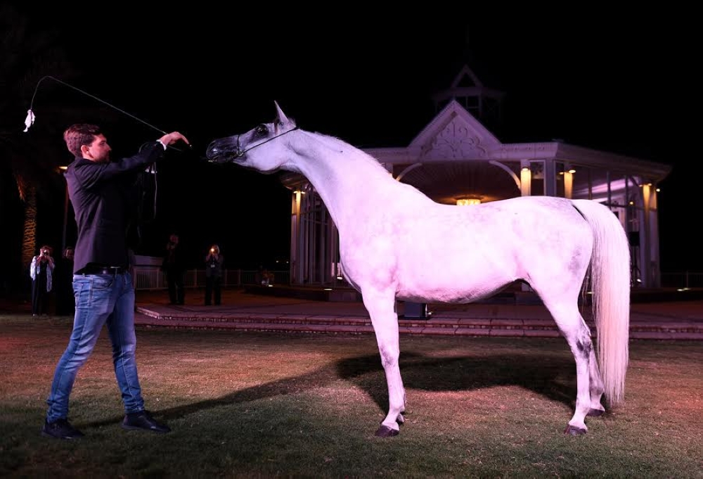 رئيس "WAHO" يشيد بالرعاية الملكية السامية للمؤتمر