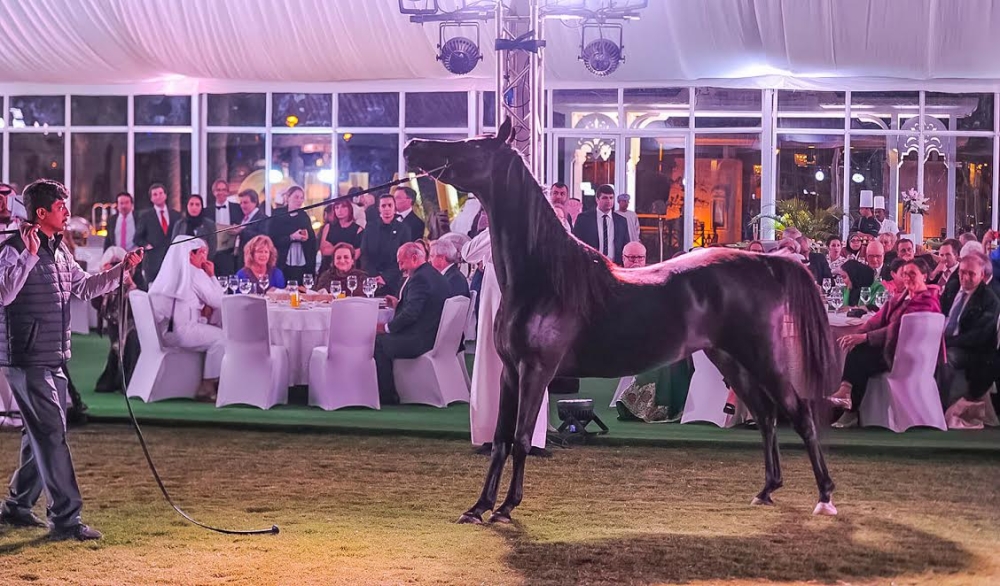 رئيس "WAHO" يشيد بالرعاية الملكية السامية للمؤتمر