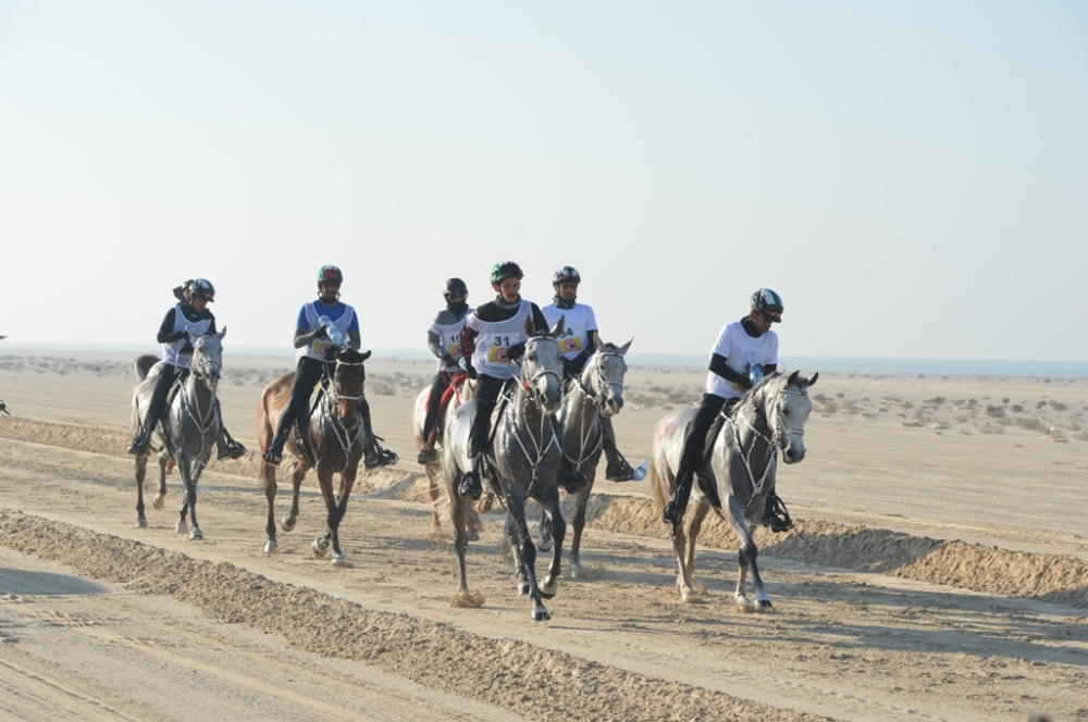 تكثيف الاستعدادات لكأس الملك للقدرة ومشاركة 20 جواداً من الإمارات