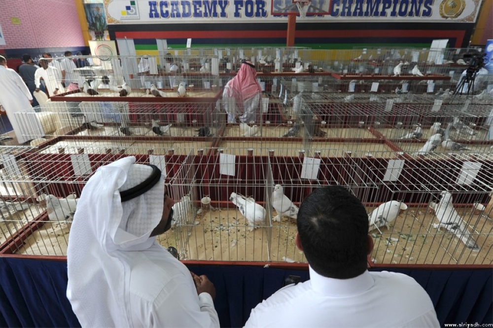 بالصور.. مسابقة ملك جمال طيور الزينة في السعودية