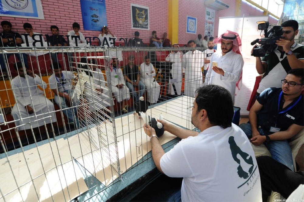 بالصور.. مسابقة ملك جمال طيور الزينة في السعودية