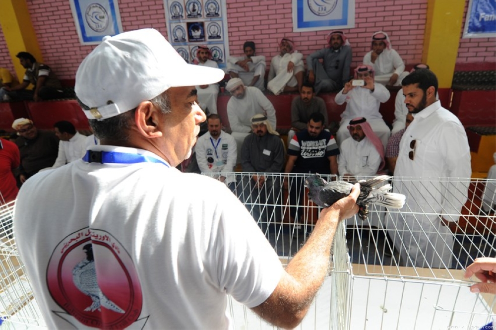 بالصور.. مسابقة ملك جمال طيور الزينة في السعودية