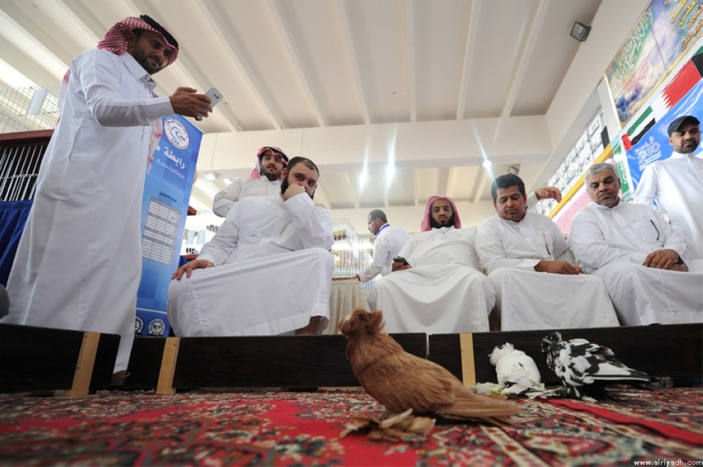 بالصور.. مسابقة ملك جمال طيور الزينة في السعودية