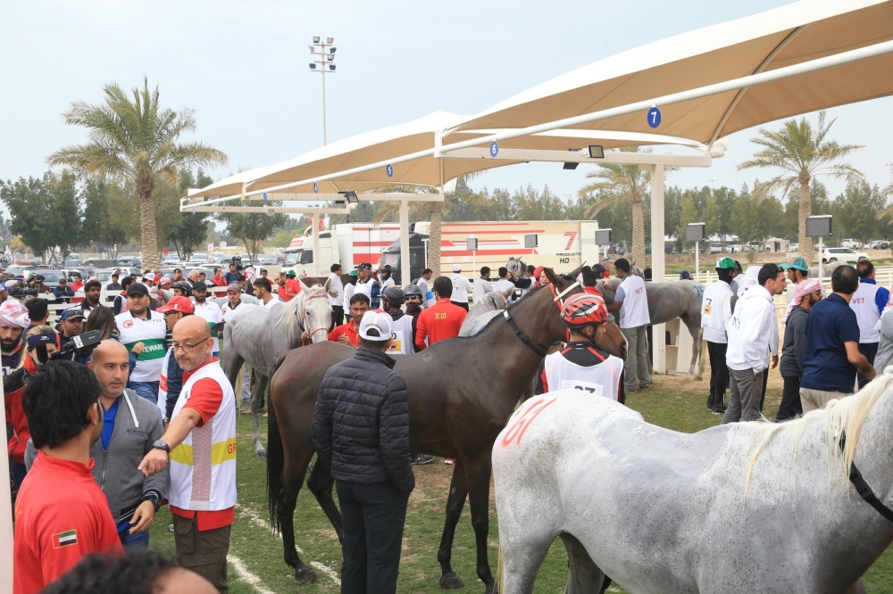 ناصر بن حمد: ريادة عالمية لفرسان البحرين والامارات برياضة القدرة