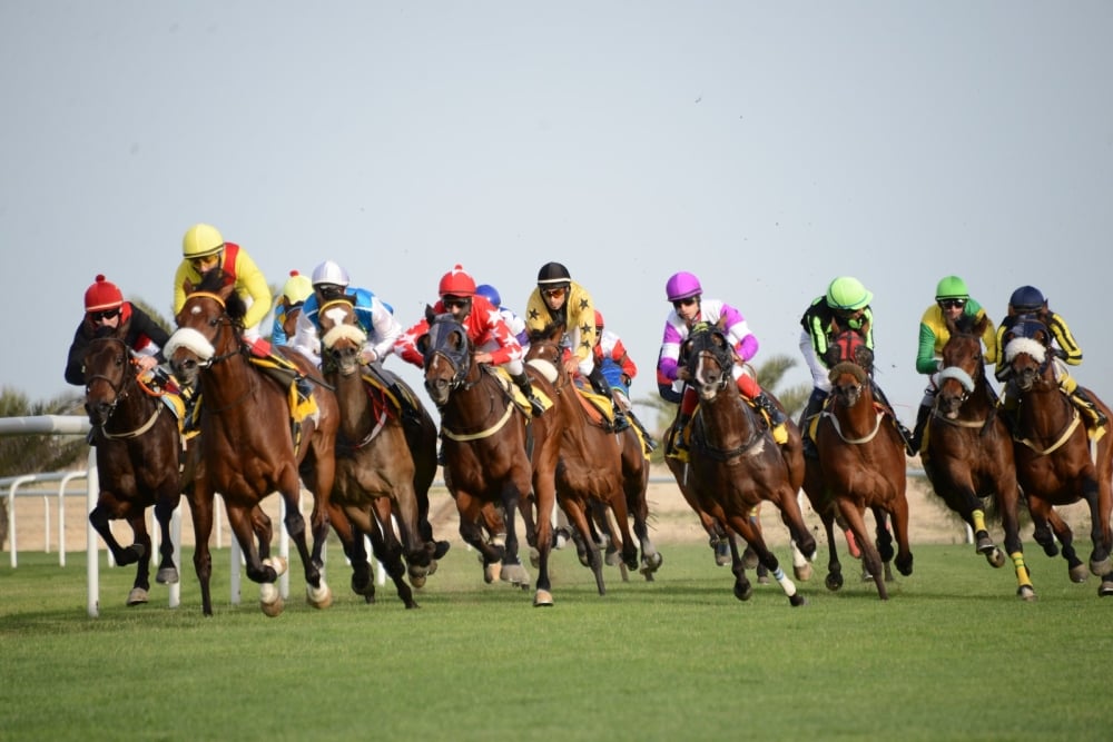 انطلاق فعاليات السباق العشرون لنادي راشد للفروسية وسباق الخيل