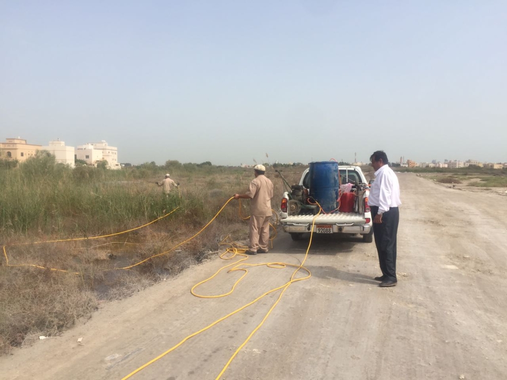 "الصحة": رش منطقة "سرايا 2" للقضاء على الحشرات والبعوض