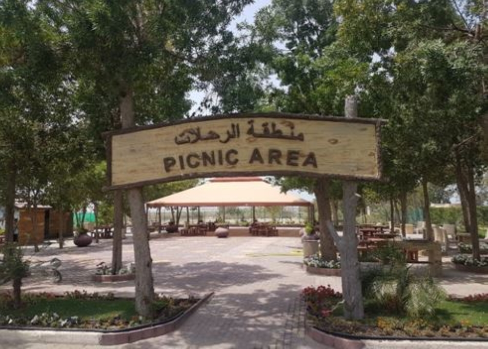 محمية العرين تخصص منطقة لـ"الشواء"