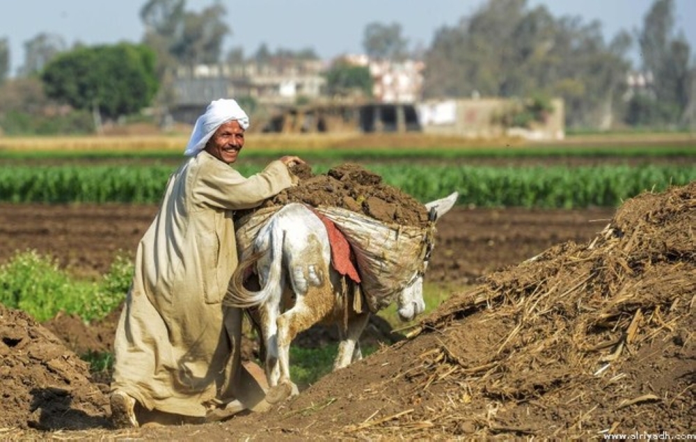 مصر: «التضخم» يرتفع إلى 31.5% في أبريل