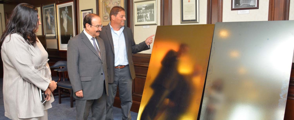 ألواح شمسية مصنعة محلياً وتحافظ على الطابع الجمالي