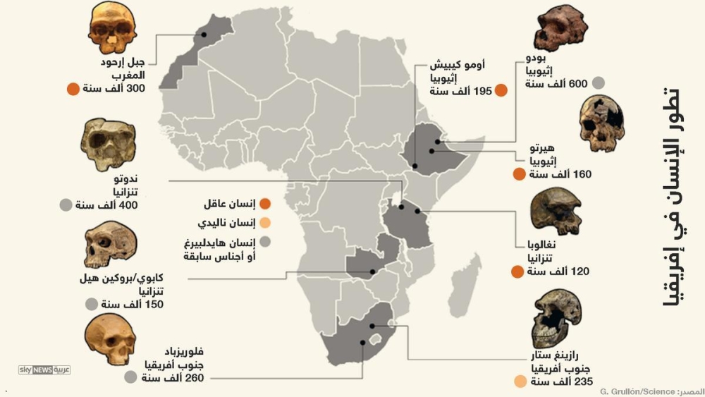 اكتشاف جمجمة أقدم إنسان عاقل تعود لـ300 ألف عام وسط المغرب