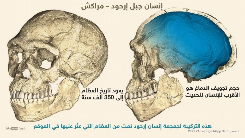 اكتشاف جمجمة أقدم إنسان عاقل تعود لـ300 ألف عام وسط المغرب