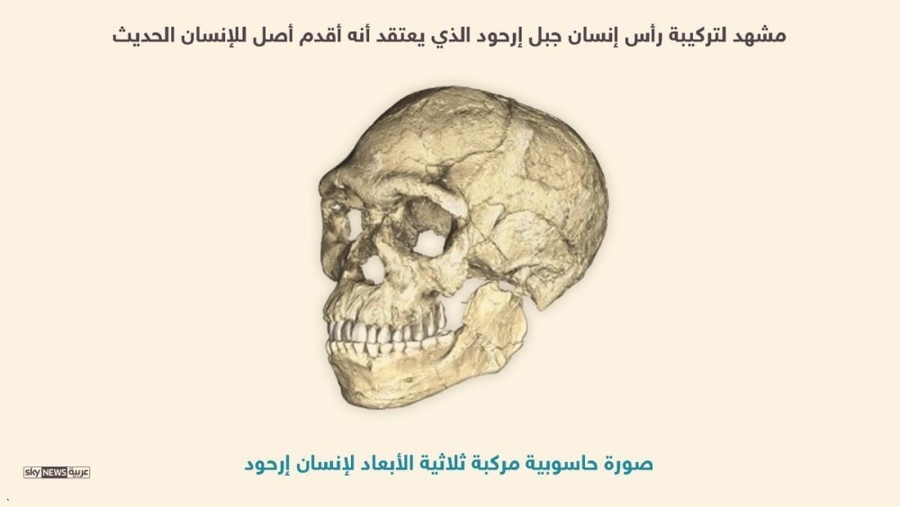 اكتشاف جمجمة أقدم إنسان عاقل تعود لـ300 ألف عام وسط المغرب