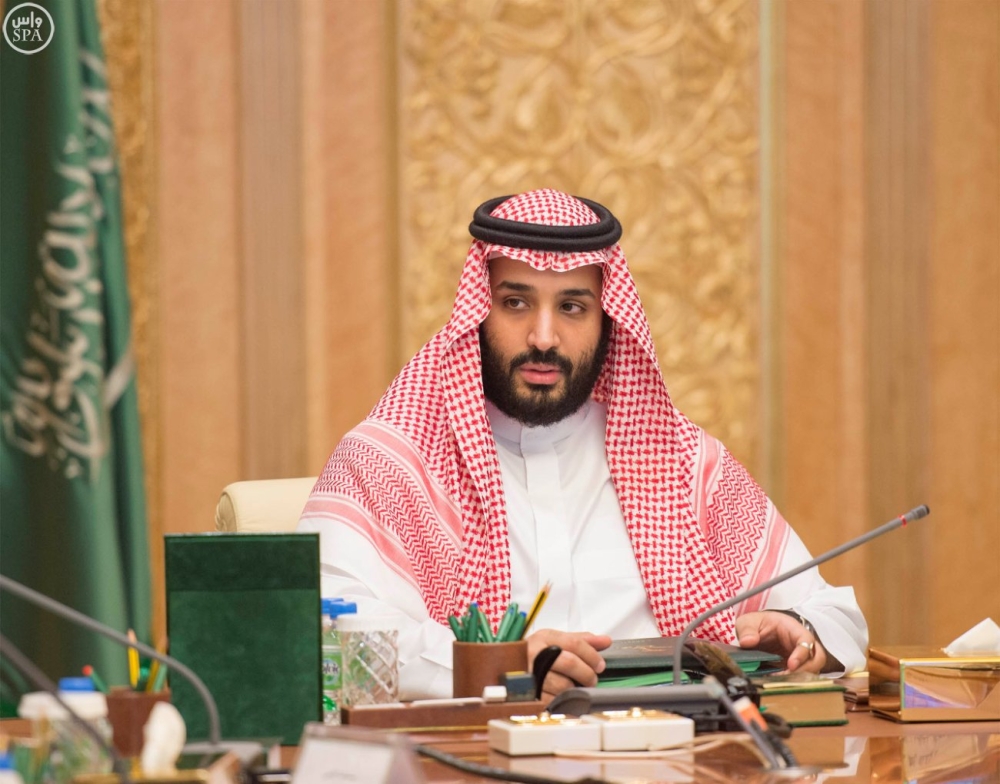 محمد بن سلمان يبحث مكافحة تمويل المنظمات الإرهاب مع تيلرسون