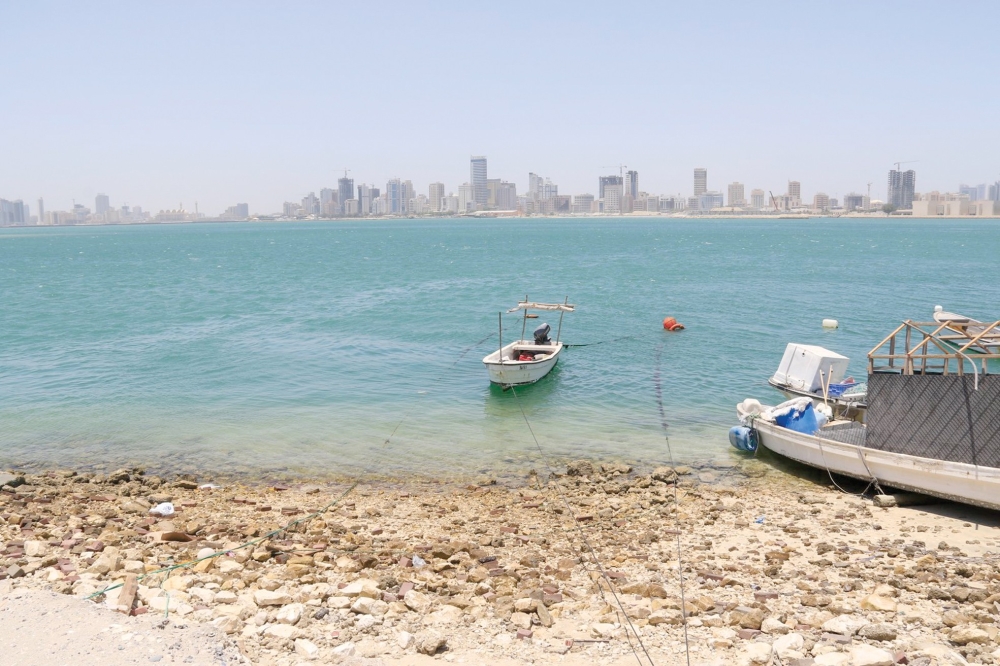 المرباطي: تنفيذ ساحل أبو ماهر على 3 مراحل والانتهاء 2017