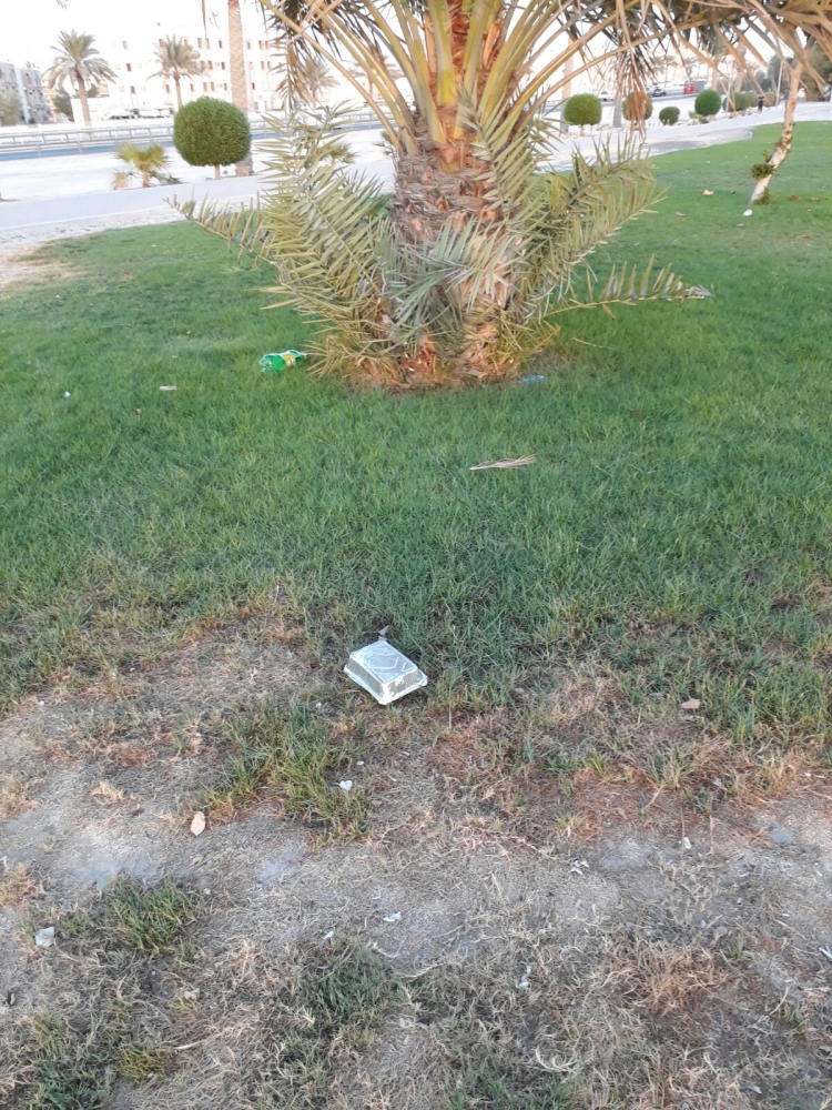 البكري: لا قانون يجرّم القمامة بالحدائق و"البلدية" تتغاضى عن المؤسسات