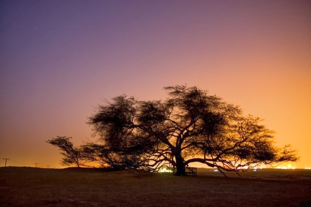 شجرة الحياة في الكابالا