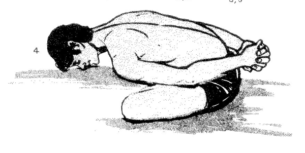 زاوية/ صحة وتأمل 
تمارين يوغا بسيطة لتحسين تدفق الدم عند مرضى السكري