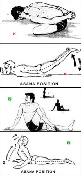 زاوية/ صحة وتأمل 
تمارين يوغا بسيطة لتحسين تدفق الدم عند مرضى السكري