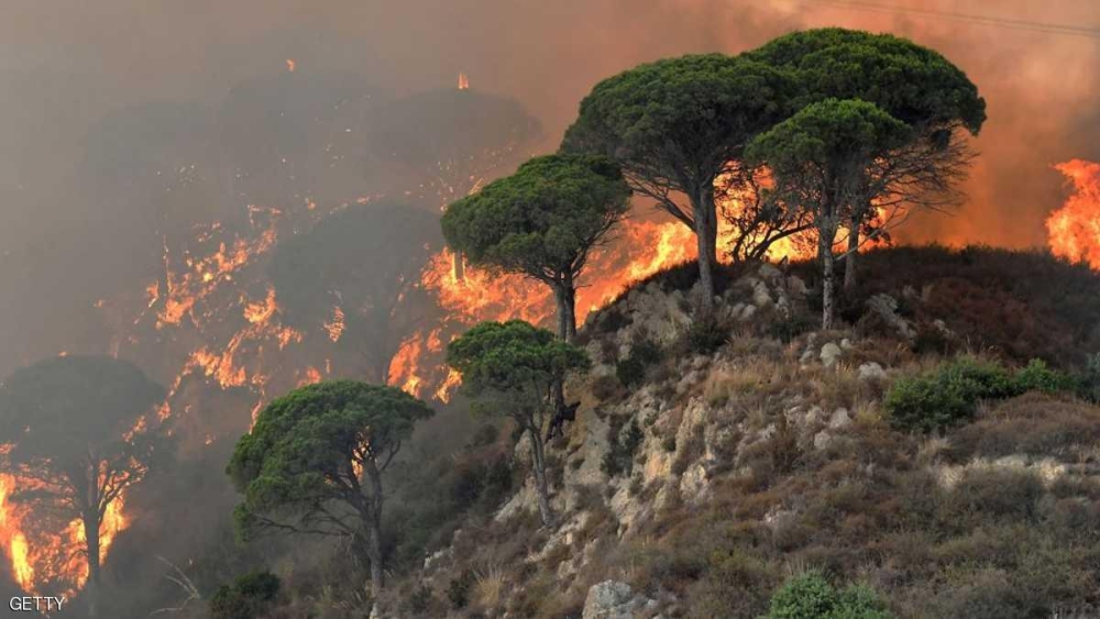 الحرائق تلتهم الغابات شمالي غرب إيطاليا