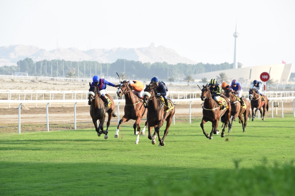 59 جواداً تشارك في سباق الخيل الثالث.. الجمعة