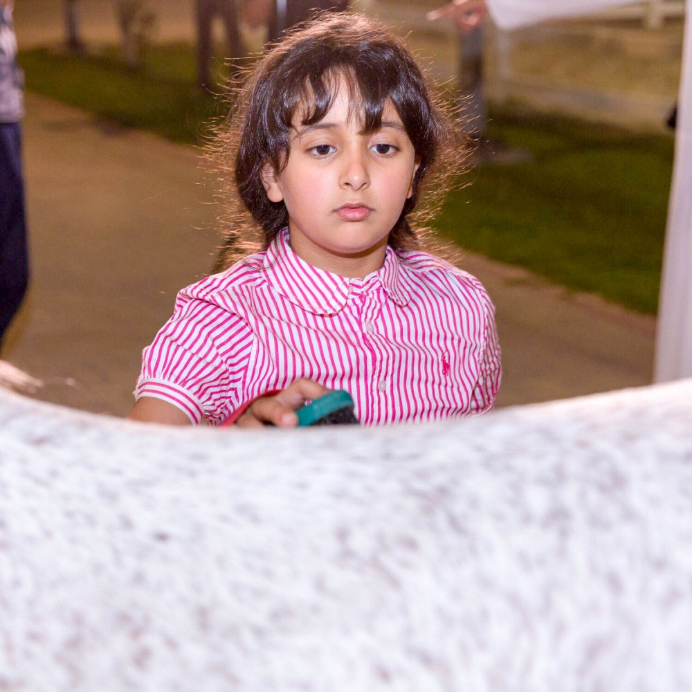 شيمة وحمد ومحمد يرعون الخيل بأنفسهم.. تنظيفاً وتجهيزاً وغداء وسقاية