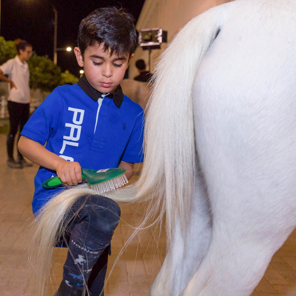شيمة وحمد ومحمد يرعون الخيل بأنفسهم.. تنظيفاً وتجهيزاً وغداء وسقاية