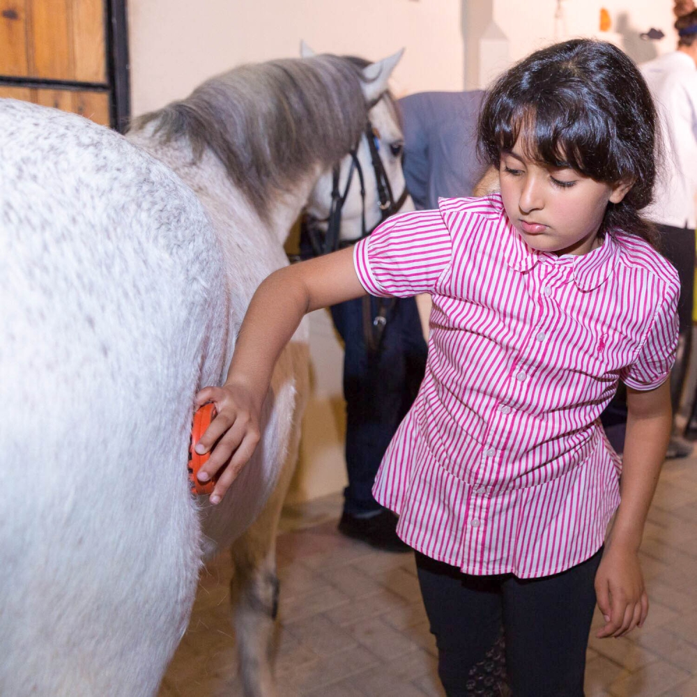 شيمة وحمد ومحمد يرعون الخيل بأنفسهم.. تنظيفاً وتجهيزاً وغداء وسقاية