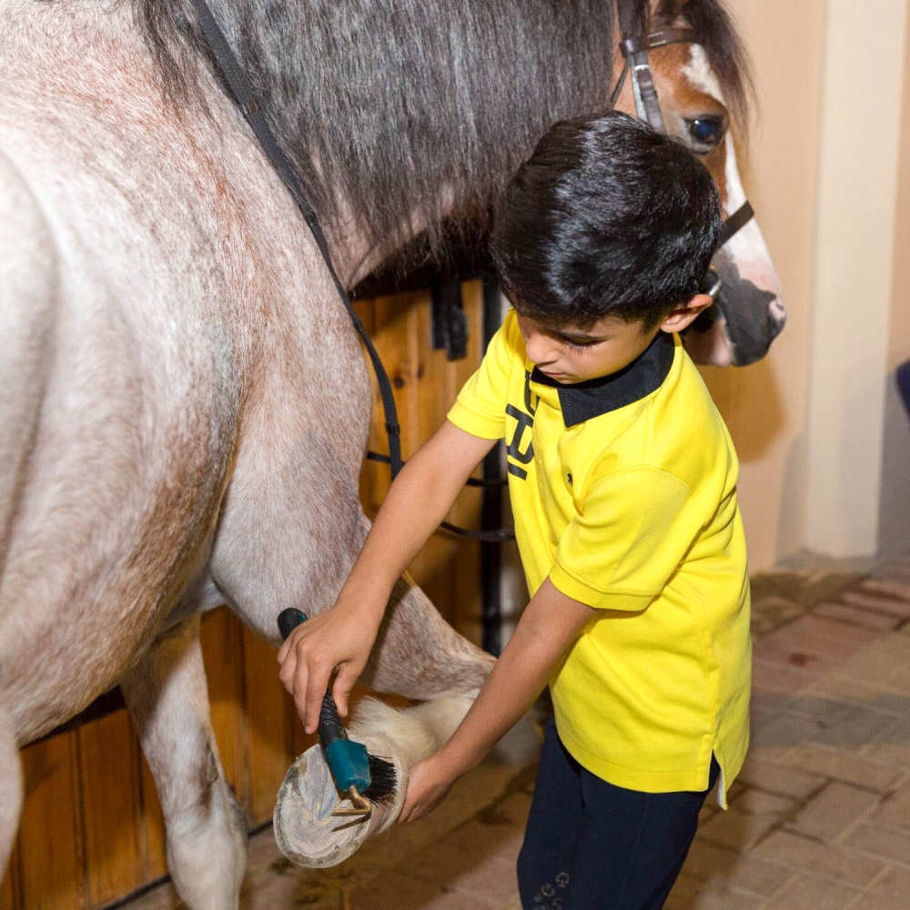 شيمة وحمد ومحمد يرعون الخيل بأنفسهم.. تنظيفاً وتجهيزاً وغداء وسقاية