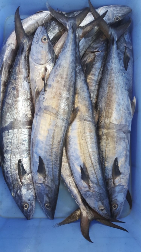 تجار: الأمطار تقلص الطلب على اللحوم 80%