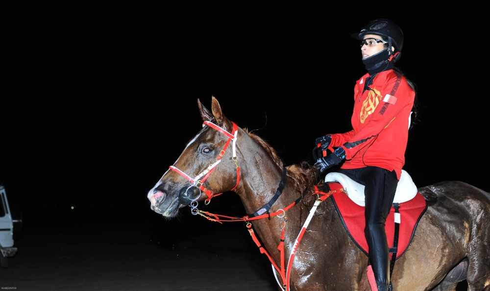 مستويات قوية ساهمت بنجاح السباق الافتتاحي للقدرة