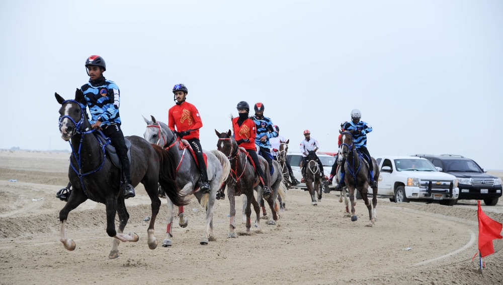 مستويات قوية ساهمت بنجاح السباق الافتتاحي للقدرة