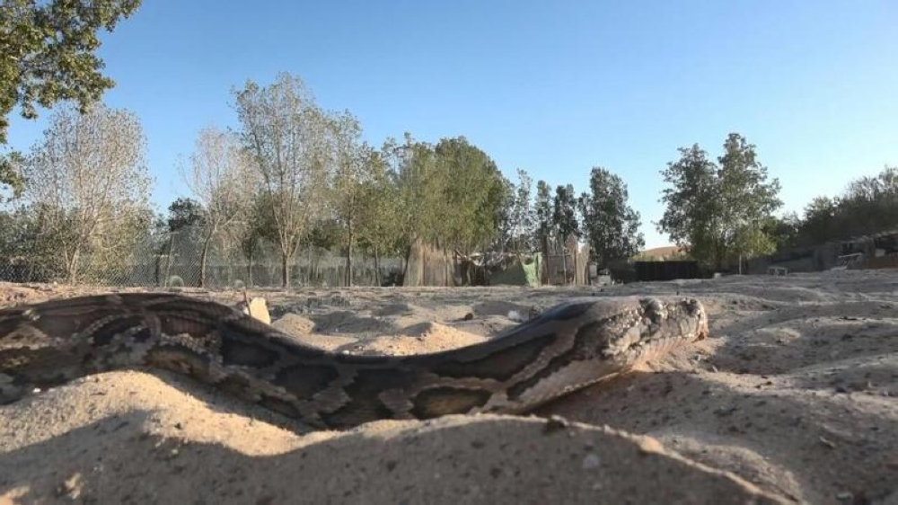 بالصور.. مخرج سعودي يصور فيلم رعب بالإمارات