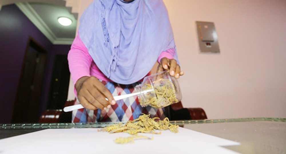 لدغات العقارب تحصد أرواح الأطفال شمال السودان