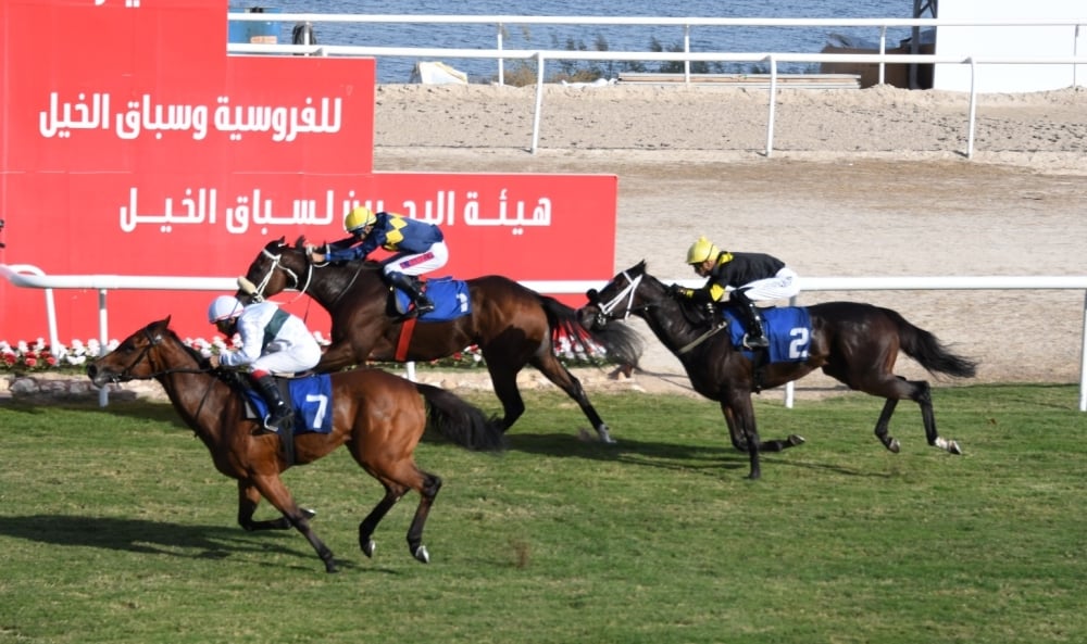 الجمعة.. انطلاق السباق الثامن للخيل بمشاركة 70 جواداً