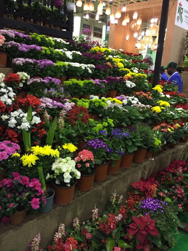 معلومات وأفكار وتجارب زراعية في معرض الحدائق