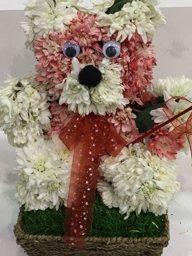 معلومات وأفكار وتجارب زراعية في معرض الحدائق