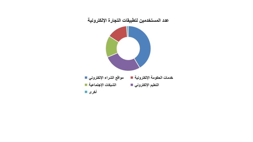 "تكنولوجيا المعلومات" تختتم ورش عمل التجارة الإلكترونية وأمن الإنترنت