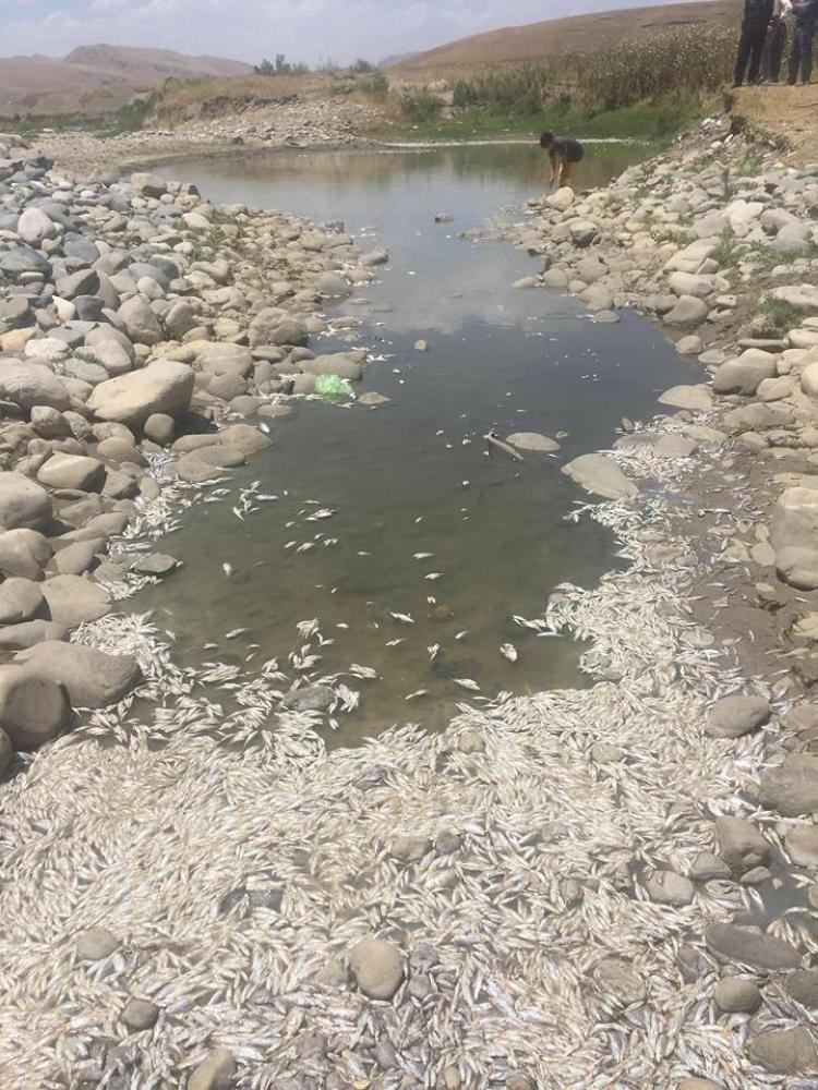 أزمة مياة في العراق بسبب تركيا وإيران