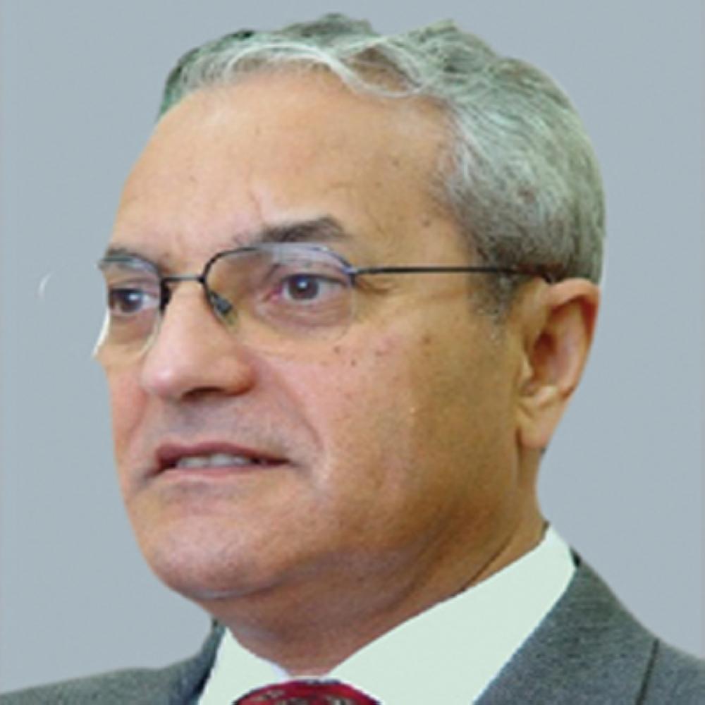 ذكرى ثورة 30 يونيه  (2-2)