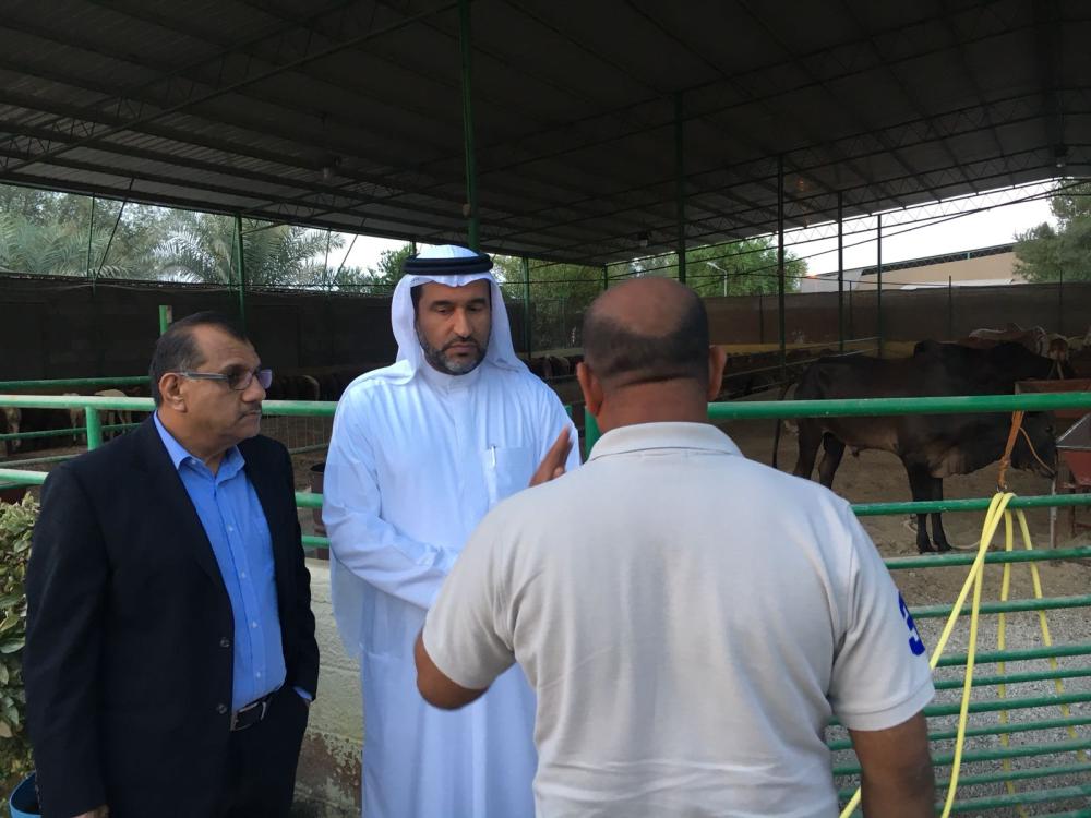 تجار مواشي: "الحظائر" بلا بنية تحتية .. والخدمات البيطرية مفقودة