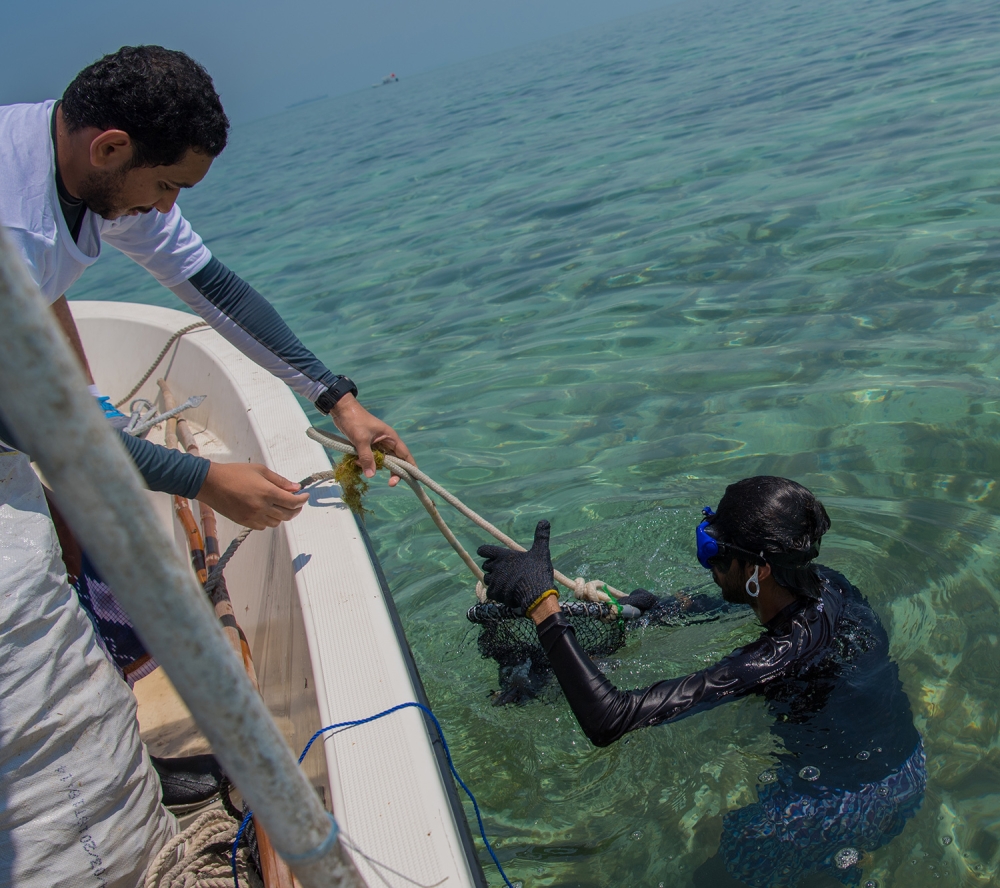 ناصر بن حمد: بطولة "الحداق" من الموروثات الشعبية التي يمتاز بها أهل المملكة