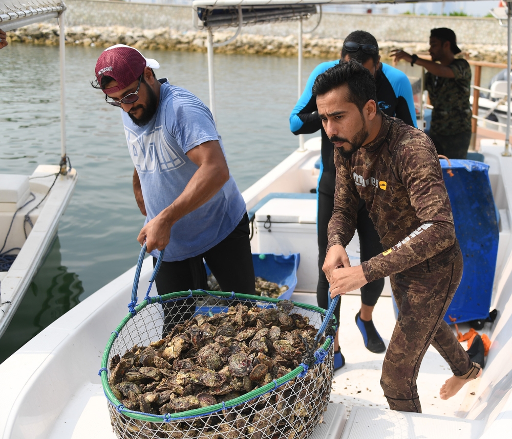 ناصر بن حمد: سيارة وجوائز مالية كبيرة لختام موسم سموه للموروث البحري
