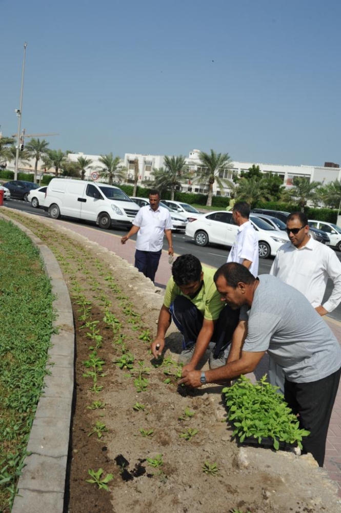 بلدية المحرق تبدأ بزراعة الزهور الموسمية بـ 200 ألف شتلة