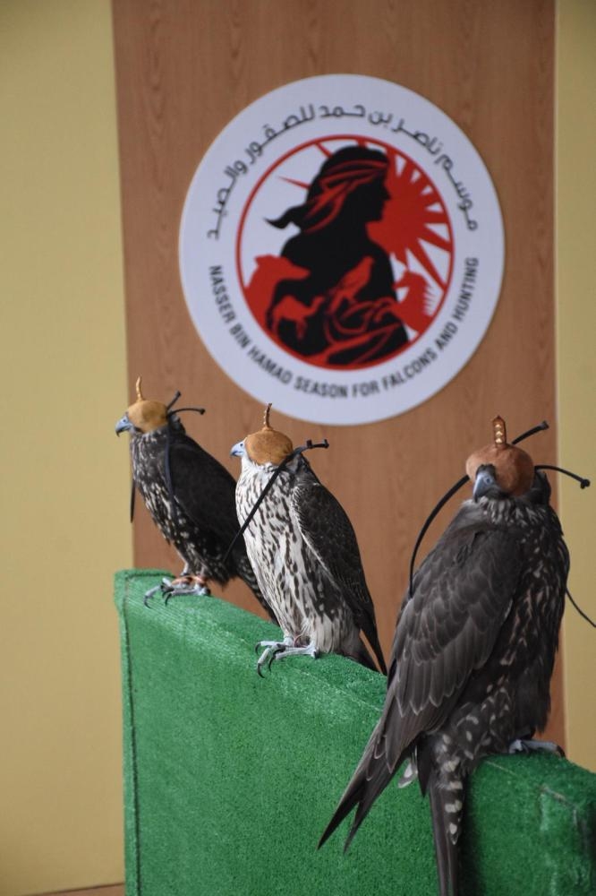 لجنة الموروث تتأهب لانطلاق موسم ناصر بن حمد للصقور والصيد الأربعاء